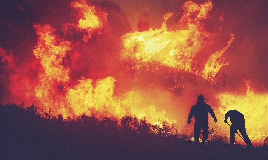 Diputación Foral de Bizkaia discrimina a la nueva promoción de bomberos y bomberas